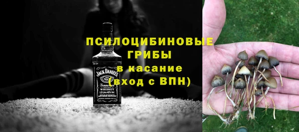 ПСИЛОЦИБИНОВЫЕ ГРИБЫ Белоозёрский