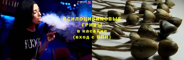 ПСИЛОЦИБИНОВЫЕ ГРИБЫ Белоозёрский