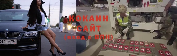 ПСИЛОЦИБИНОВЫЕ ГРИБЫ Белоозёрский