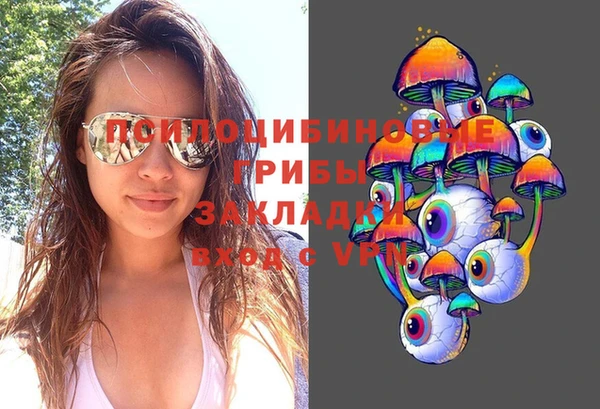 ПСИЛОЦИБИНОВЫЕ ГРИБЫ Белоозёрский